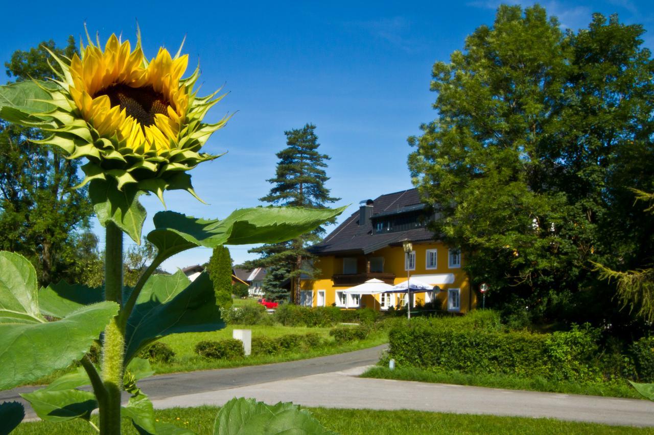 Landgasthof Zum Betenmacher Thalgau Exteriör bild
